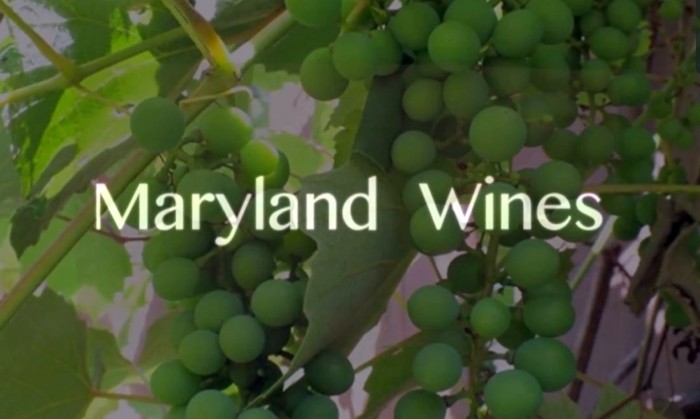 Maryland wines